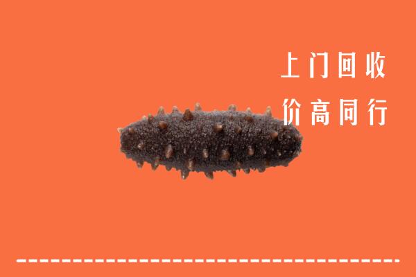 高价求购：那曲市回收海参