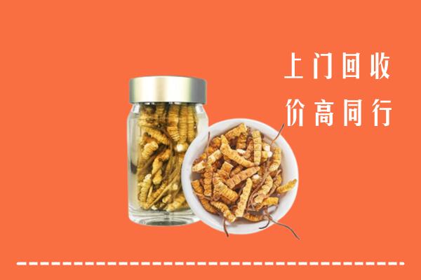 那曲市回收冬虫夏草